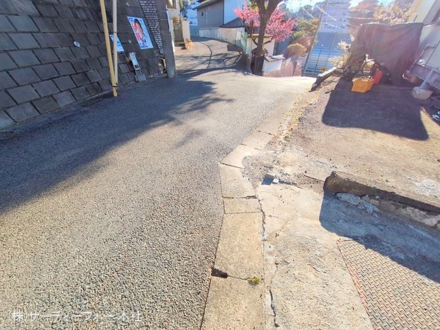 撮影日(2025-02-19 00:00:00)