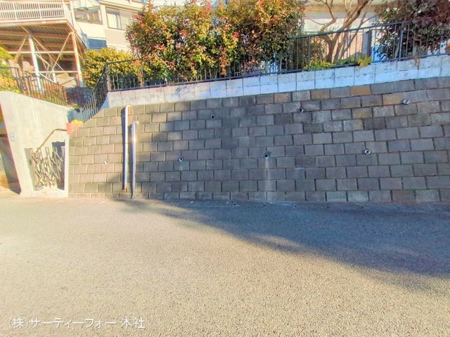 撮影日(2025-02-19 00:00:00)