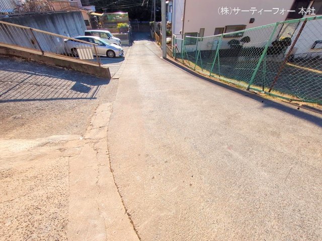 撮影日(2025-02-19 00:00:00)