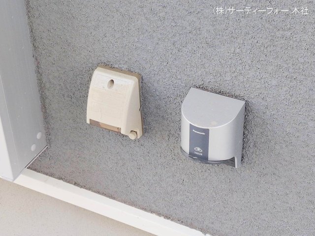 撮影日(2025-03-26 00:00:00)