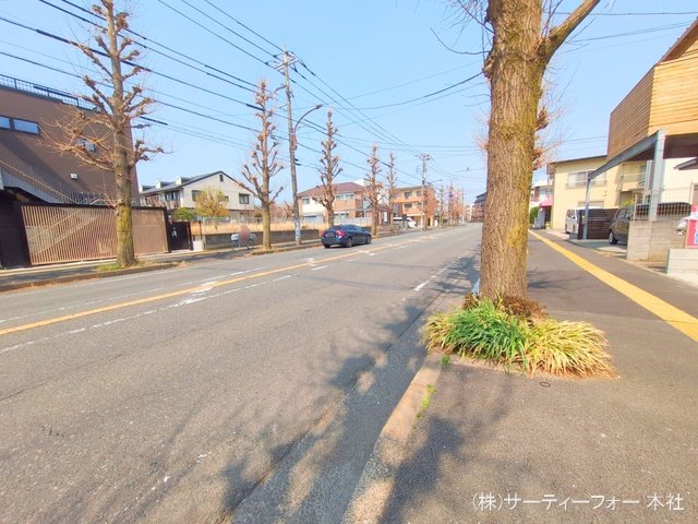 撮影日(2025-03-25 00:00:00)