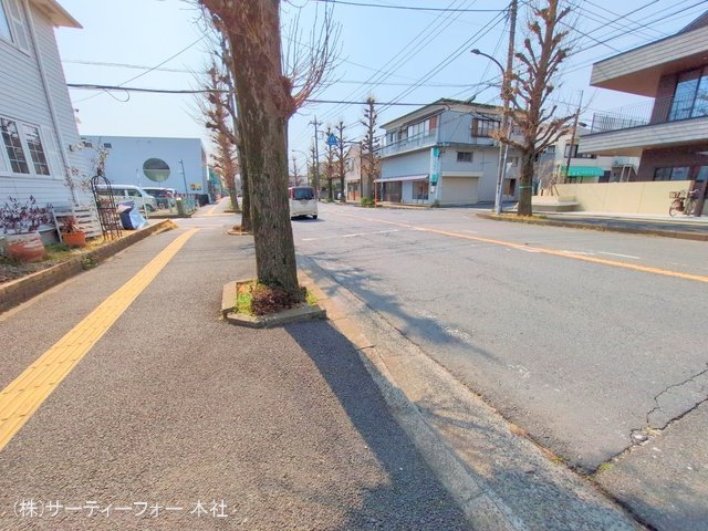 撮影日(2025-03-25 00:00:00)