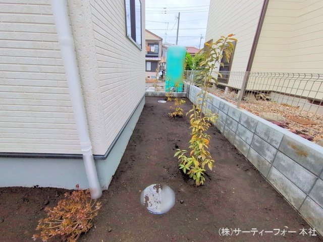 撮影日(2025-03-06 00:00:00)