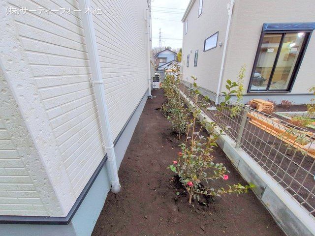 撮影日(2025-03-06 00:00:00)
