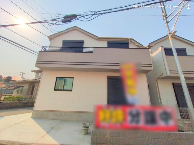 撮影日(2025-03-26 00:00:00)