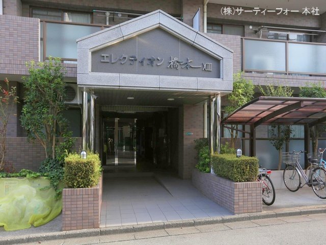 撮影日(2024-10-11)