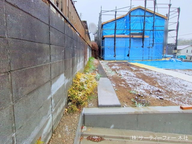 撮影日(2025-03-03 00:00:00)