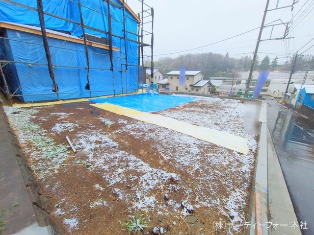 撮影日(2025-03-03 00:00:00)