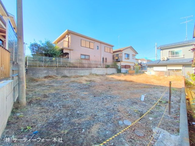 撮影日(2024-11-19 00:00:00)