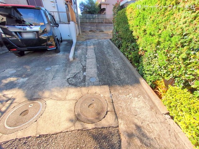 撮影日(2024-11-19 00:00:00)