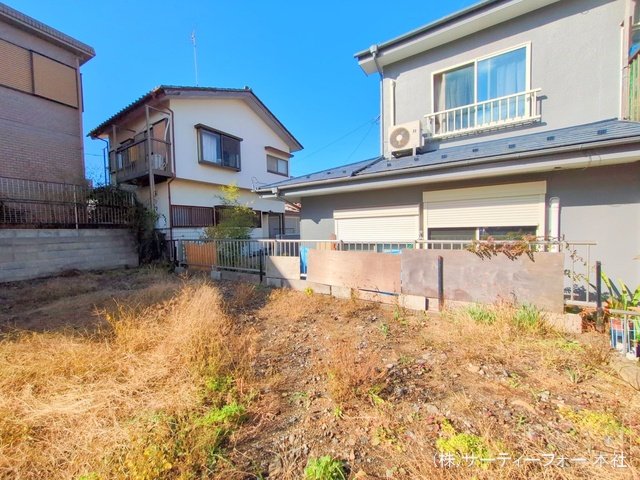 撮影日(2024-11-19 00:00:00)