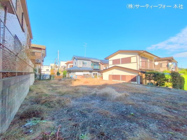 撮影日(2024-11-19 00:00:00)