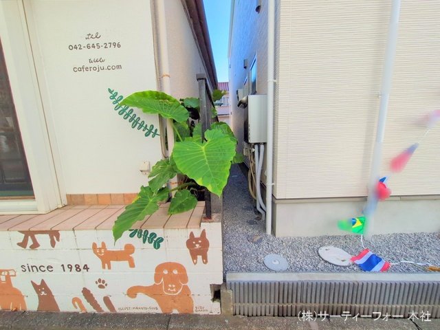 撮影日(2024-11-22 00:00:00)