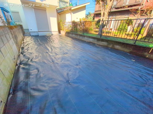 撮影日(2024-11-22 00:00:00)