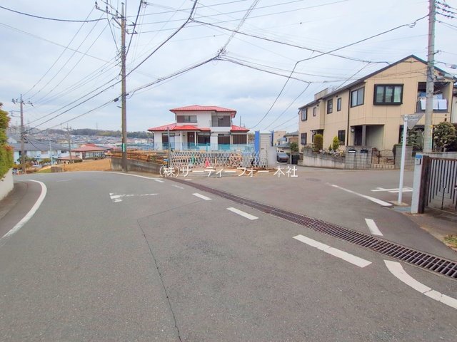 撮影日(2025-03-11 00:00:00)