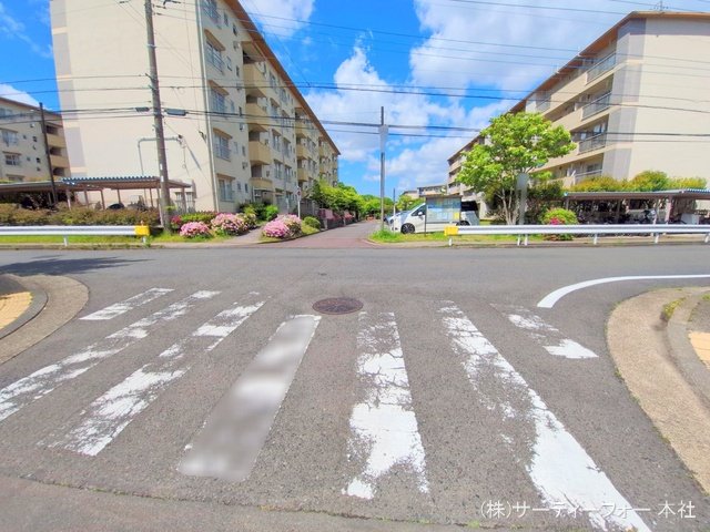 撮影日(2025-04-29 00:00:00)