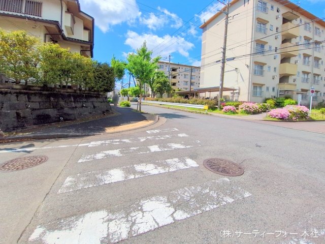 撮影日(2025-04-29 00:00:00)