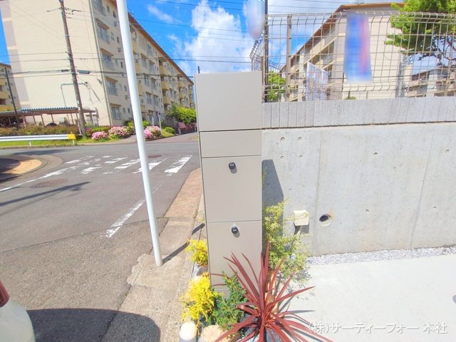 撮影日(2025-04-29 00:00:00)