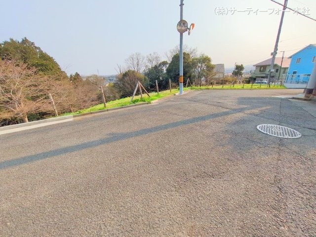 撮影日(2025-03-26 00:00:00)