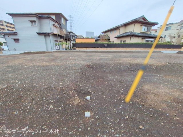 撮影日(2025-03-31 00:00:00)