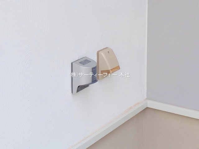 撮影日(2025-06-09 00:00:00)