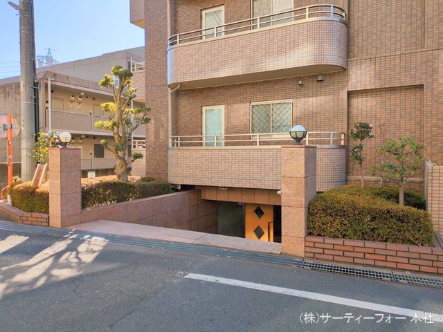 撮影日(2025-01-29 00:00:00)