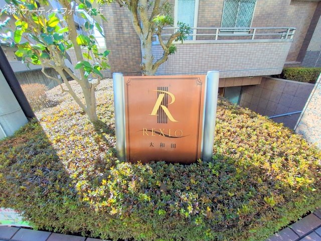 撮影日(2025-01-29 00:00:00)