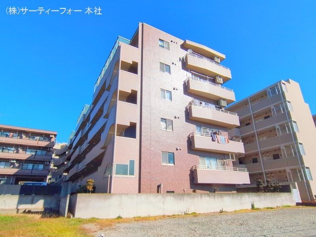 撮影日(2025-01-29 00:00:00)