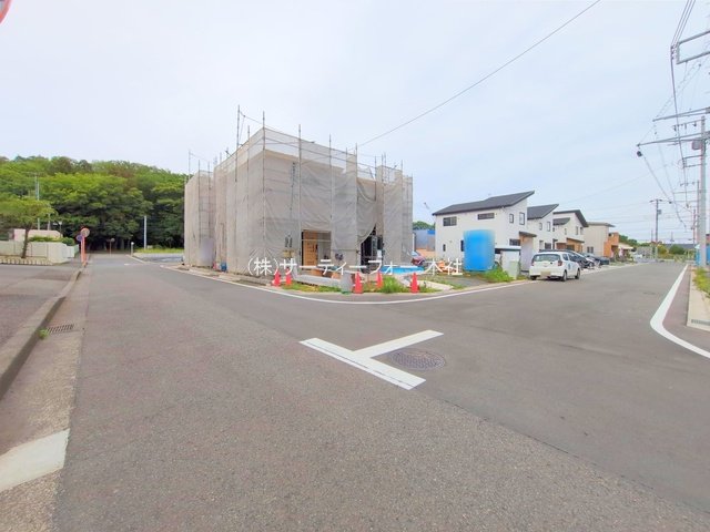 撮影日(2025-05-22 00:00:00)