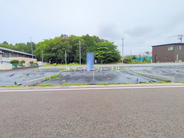 撮影日(2025-06-09 00:00:00)
