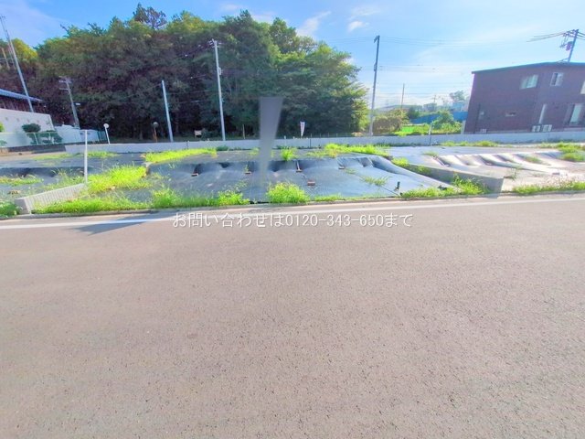 撮影日(2025-06-09 00:00:00)