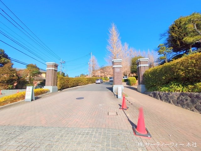 撮影日(2025-02-13 00:00:00)