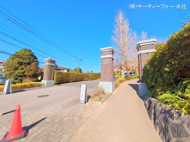 撮影日(2025-02-13 00:00:00)