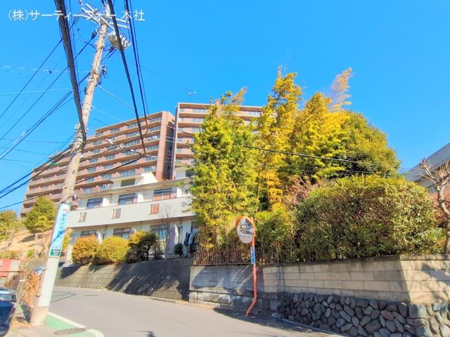 撮影日(2025-02-13 00:00:00)
