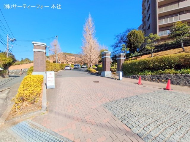 撮影日(2025-02-13 00:00:00)