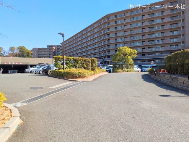 撮影日(2025-02-13 00:00:00)