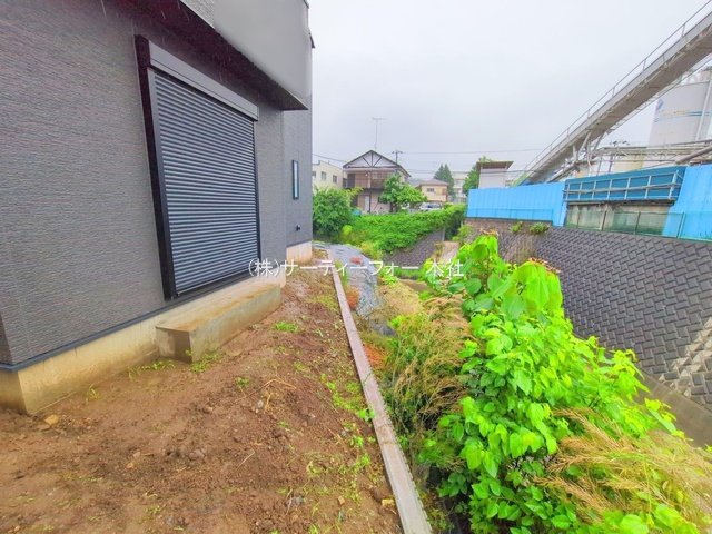 撮影日(2025-06-03 00:00:00)