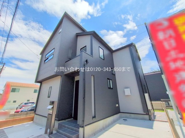 撮影日(2025-06-23 00:00:00)