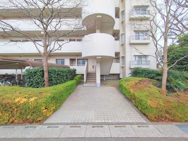 撮影日(2025-03-06 00:00:00)