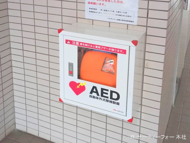 撮影日(2025-03-06 00:00:00)