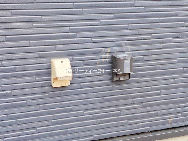 撮影日(2025-06-11 00:00:00)