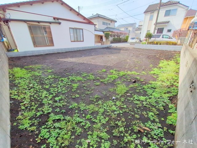 撮影日(2025-03-14 00:00:00)
