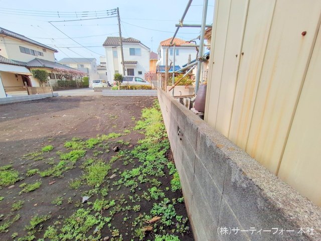撮影日(2025-03-14 00:00:00)