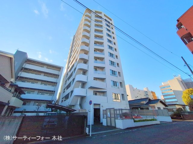 撮影日(2025-03-13 00:00:00)