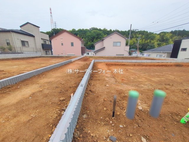 撮影日(2025-05-27 00:00:00)