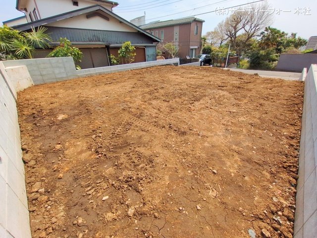 撮影日(2025-04-10 00:00:00)
