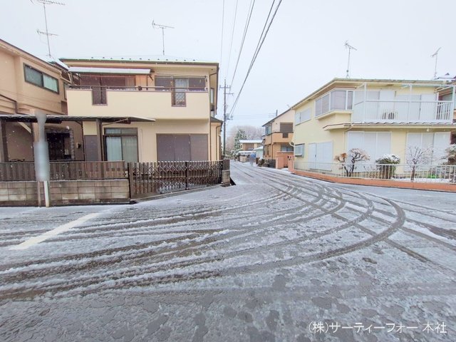 撮影日(2025-03-19 00:00:00)