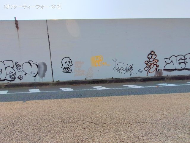 撮影日(2025-03-26 00:00:00)