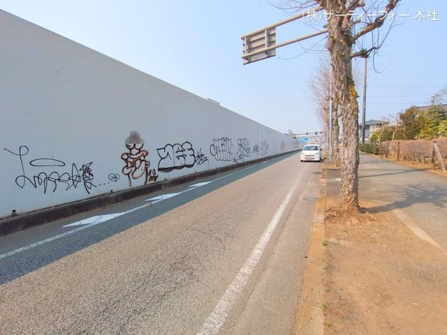 撮影日(2025-03-26 00:00:00)