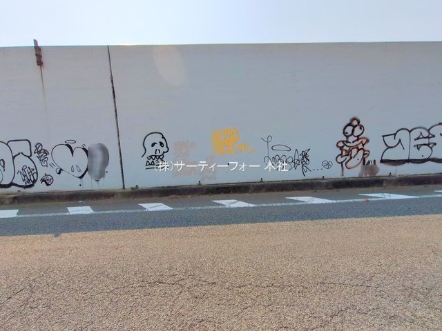 撮影日(2025-03-26 00:00:00)
